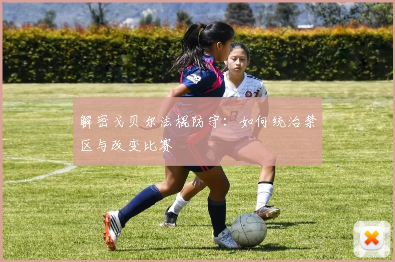 解密戈贝尔法棍防守：如何统治禁区与改变比赛